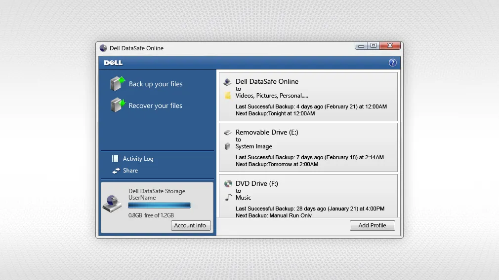 Screenshot of the Dell DataSafe home screen