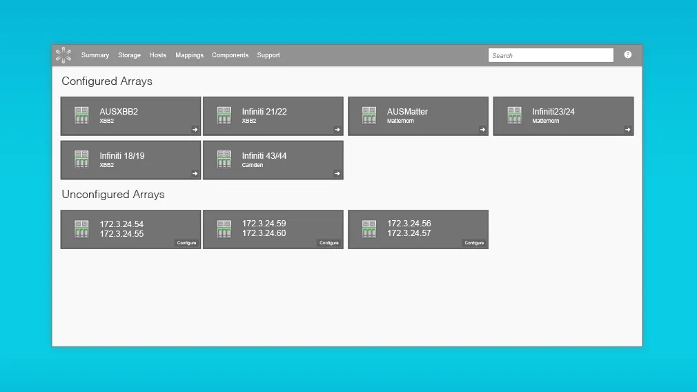 Screenshot of the array management